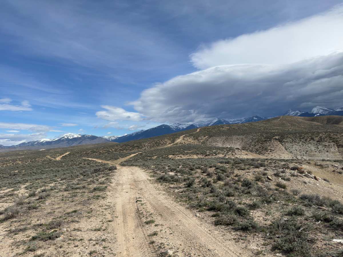 BLM 129 photo 4