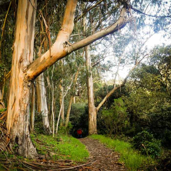 Near Jewel Lake Loop