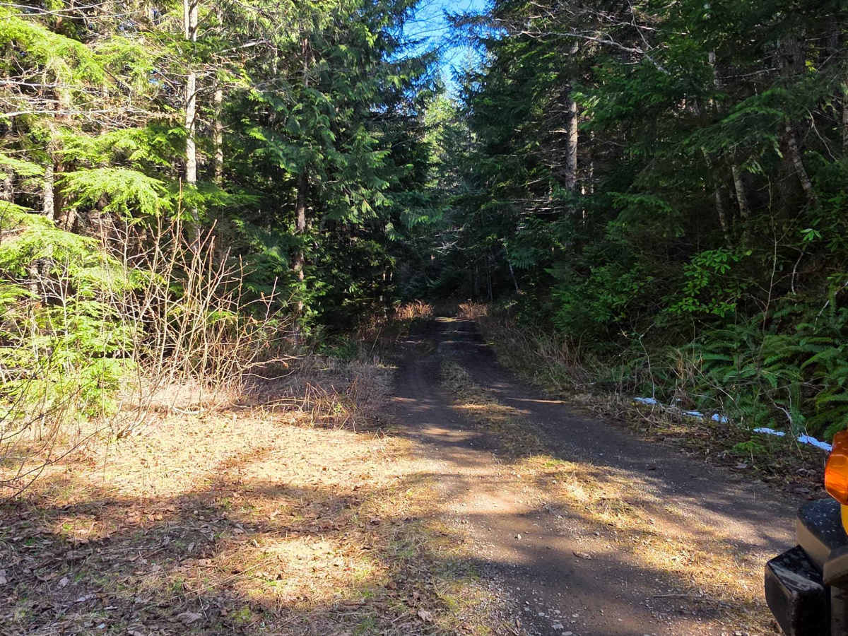 Buck Mountain Ridge Rd - FS 2060060 photo 3
