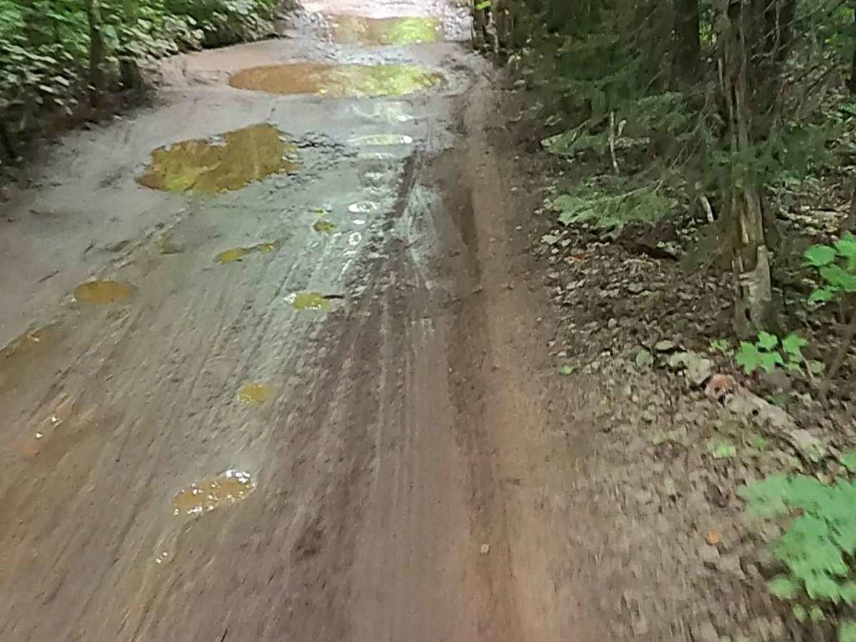 Schlatter Lake Trail photo 5