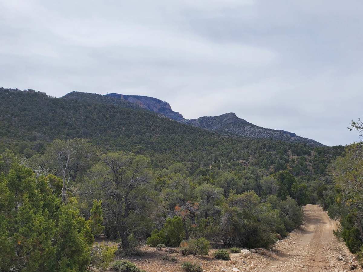 Comet Mine Road photo 2