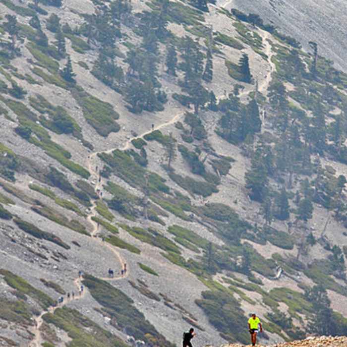 Looking down from the summit of Mt. Baldy Near Mt. Baldy Trail #7W12