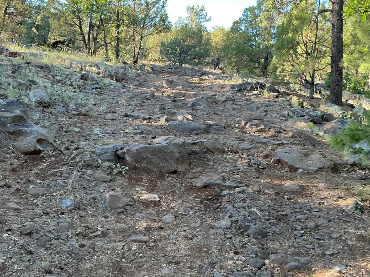 FS 142A  trail photo
