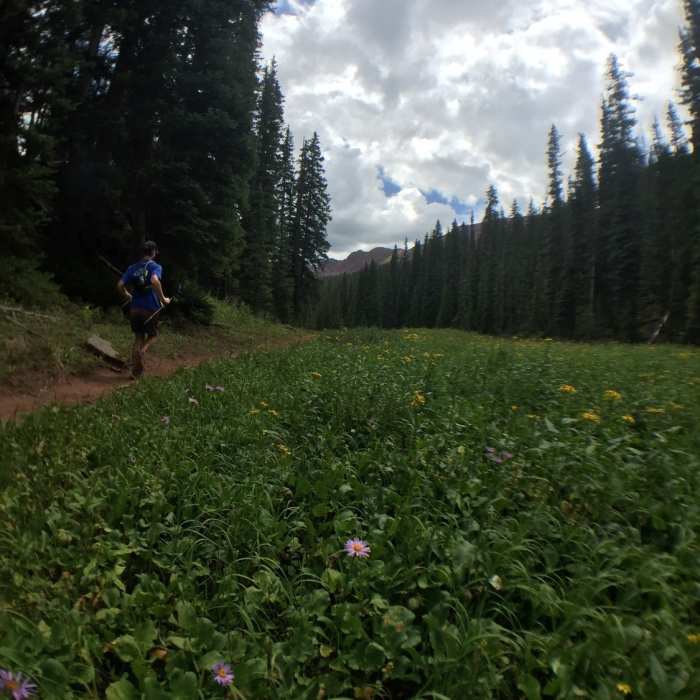 Still descending off Frigid Air Pass. Wildflowers late in the season. Near Fravert Basin Trail