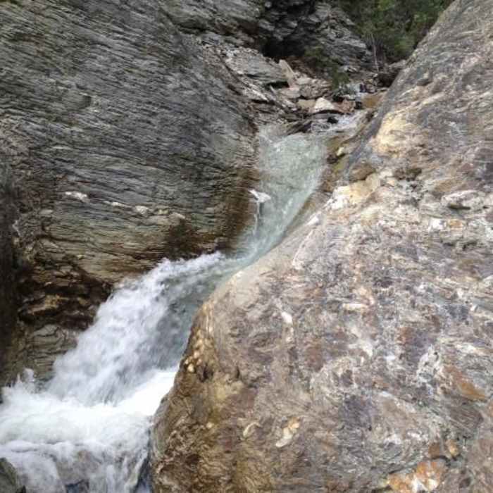 Near Fox Creek Near Fox Creek