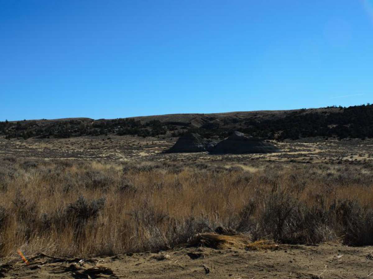 Cottonwood Road photo 3