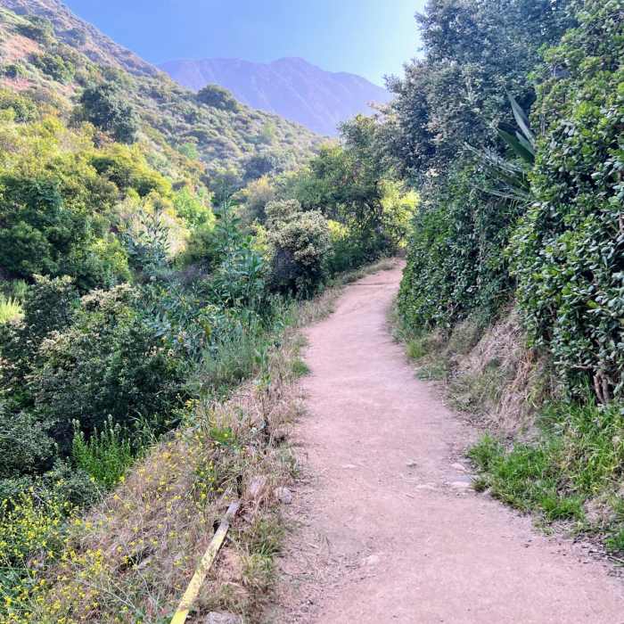 Near Jones Peak Plus Hastings Loop