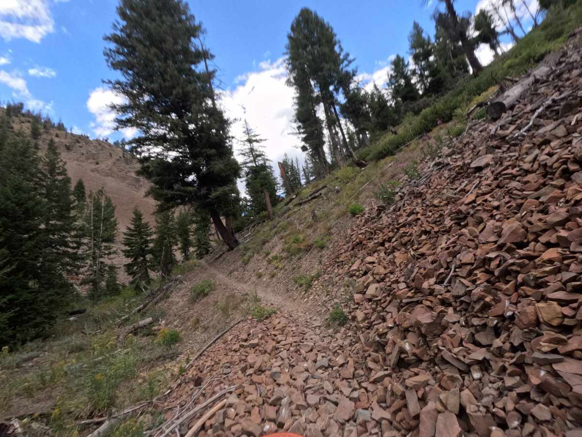 Rooks Creek - FS 7145 photo 4