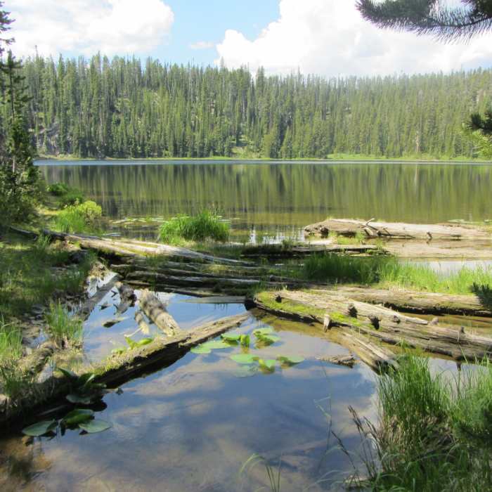 Near Pocket Lake Trail