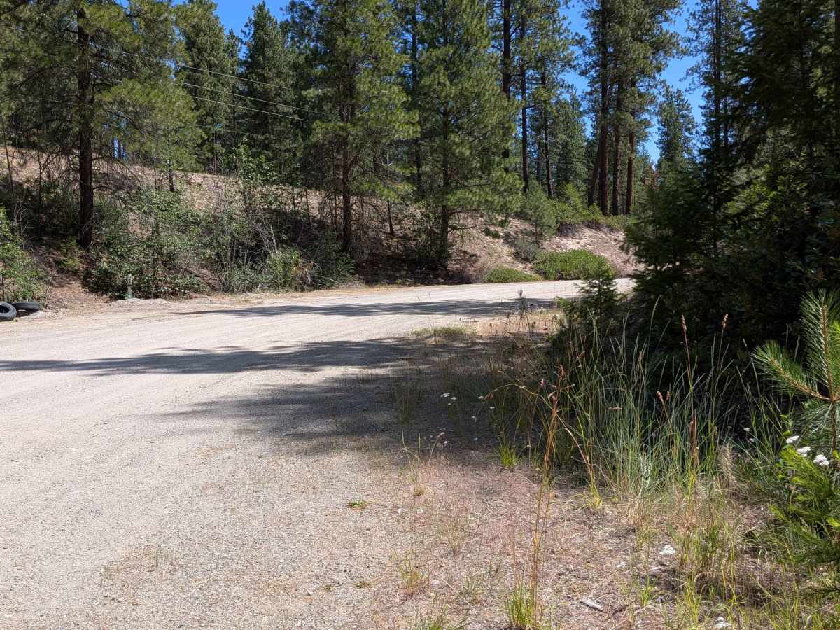 West Fork Rock Creek Road photo 3