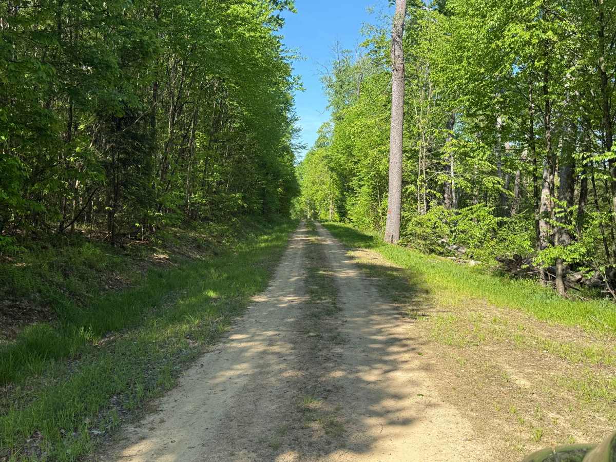 Dewdrop Trail - FS 263 photo 2