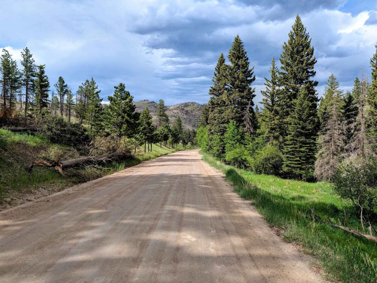 Pingree Park Road photo 3