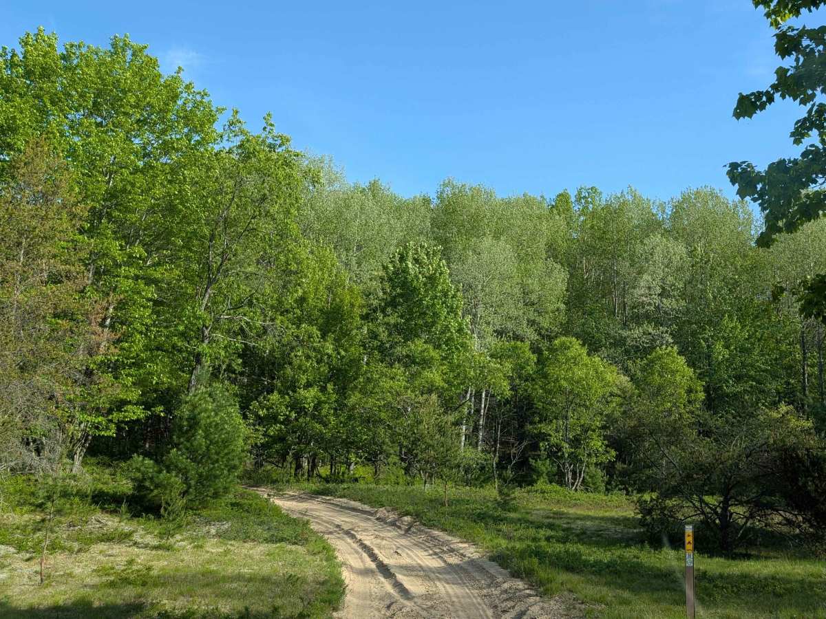 North Missaukee Route (Section 3) photo 4