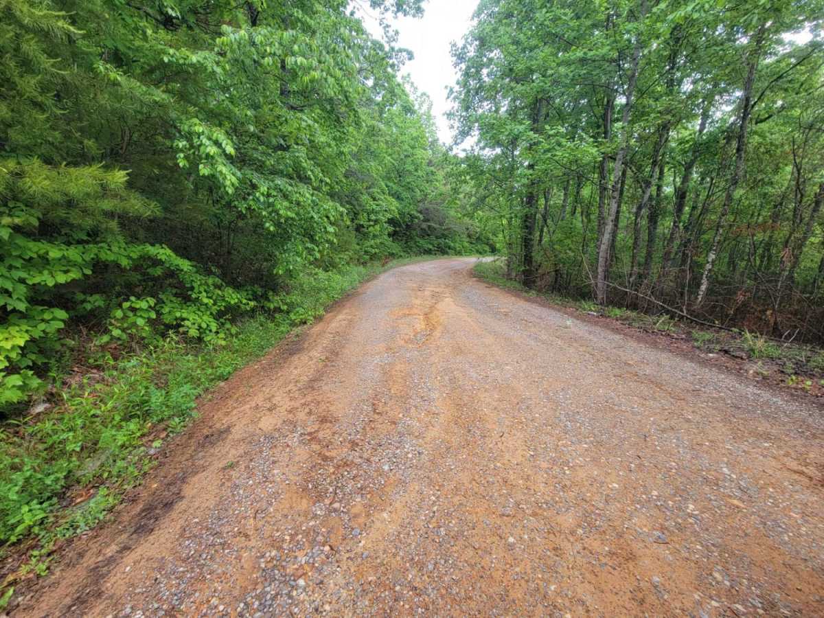 Chilhowee Ridge (Oswald-77) photo 3