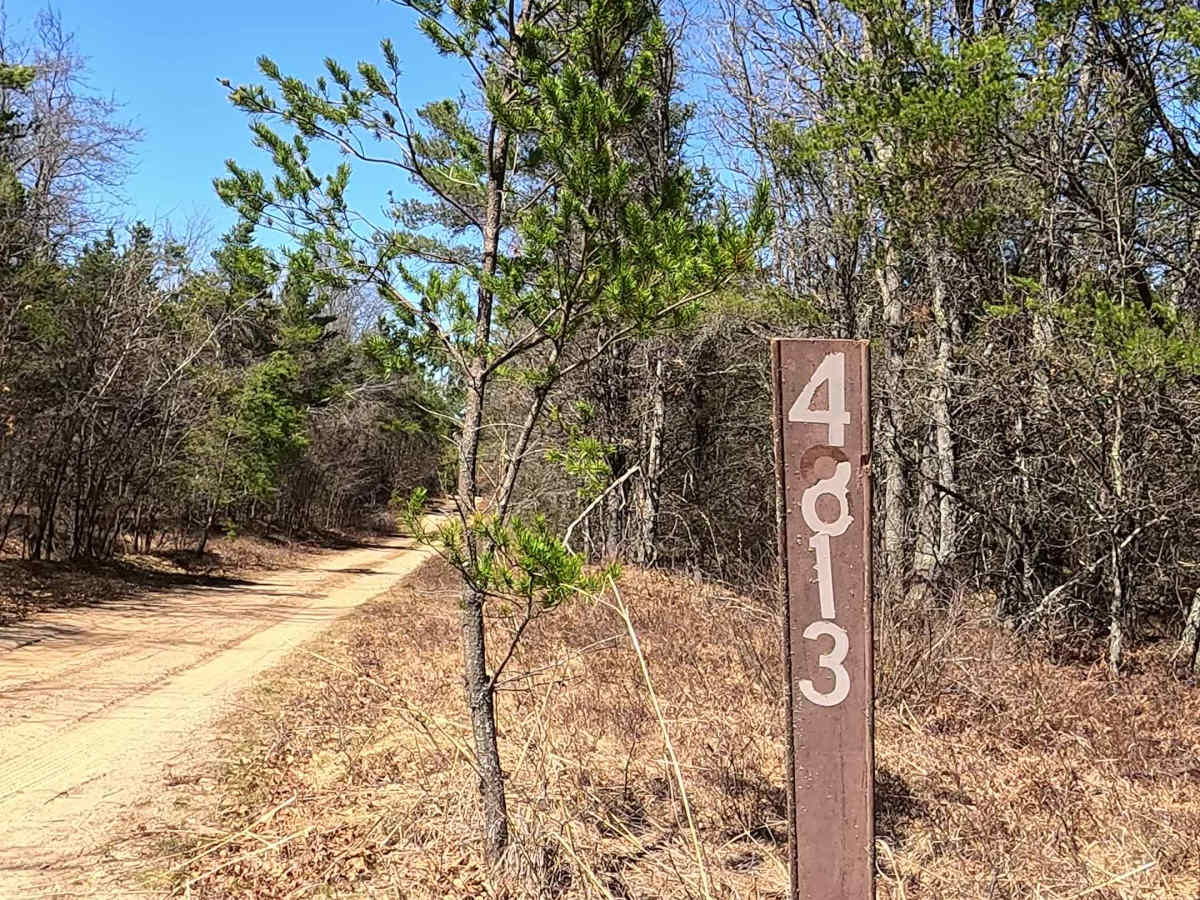 Brainard Springs Spur - FS 4813 trail photo