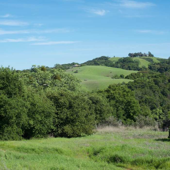 Near Vista Point Trail