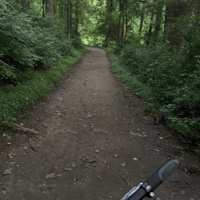 Near Blue Heron Trail