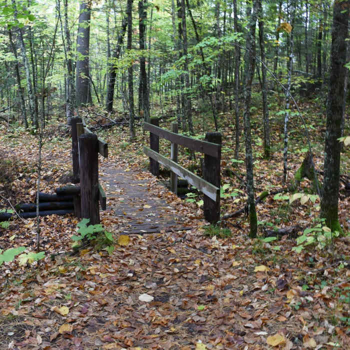 Near Big Manitou Falls River Trail Near Big Manitou Falls River Trail