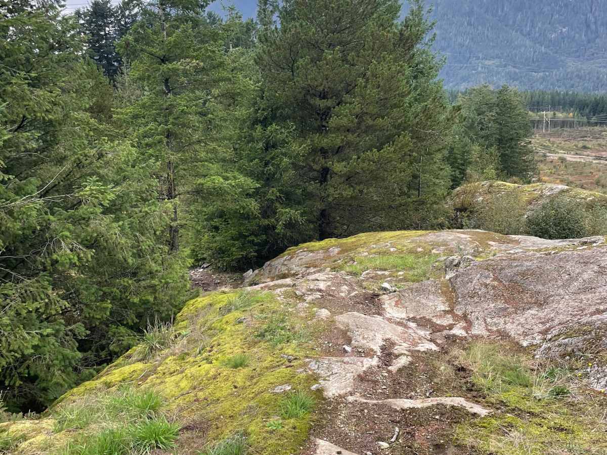 View Point photo 6