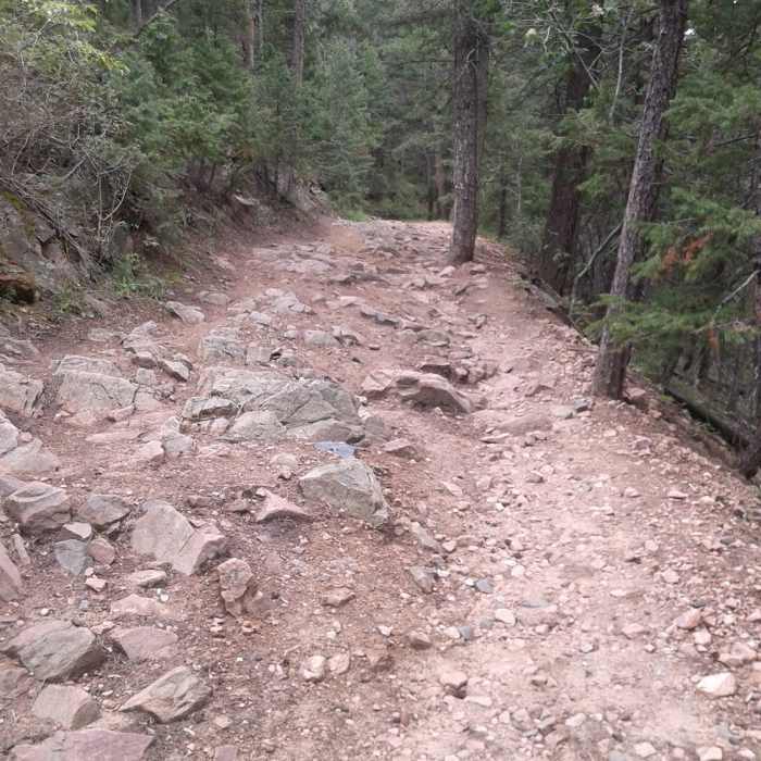 Near Homesteader Trail