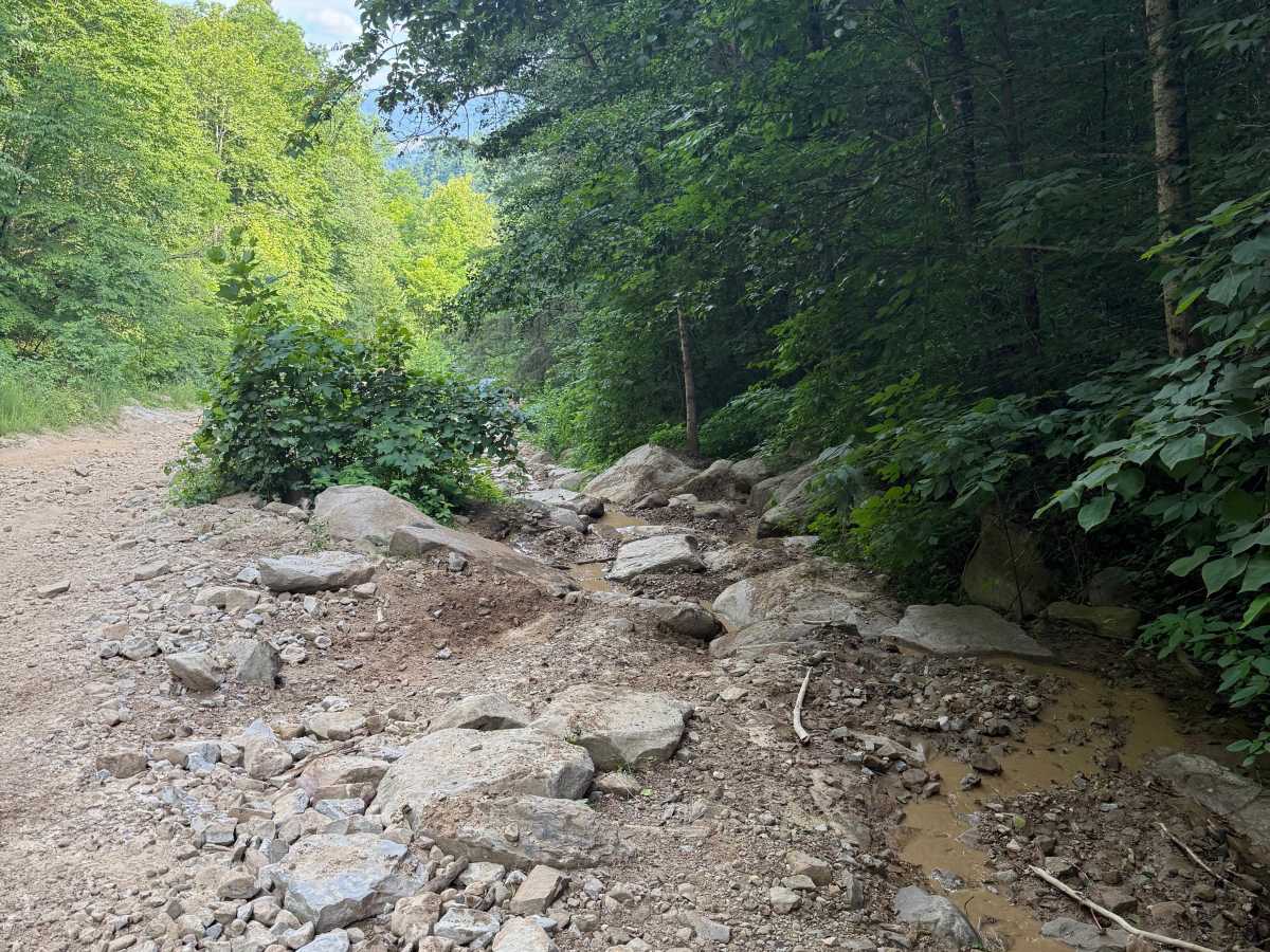 Lower Rock Garden photo 5