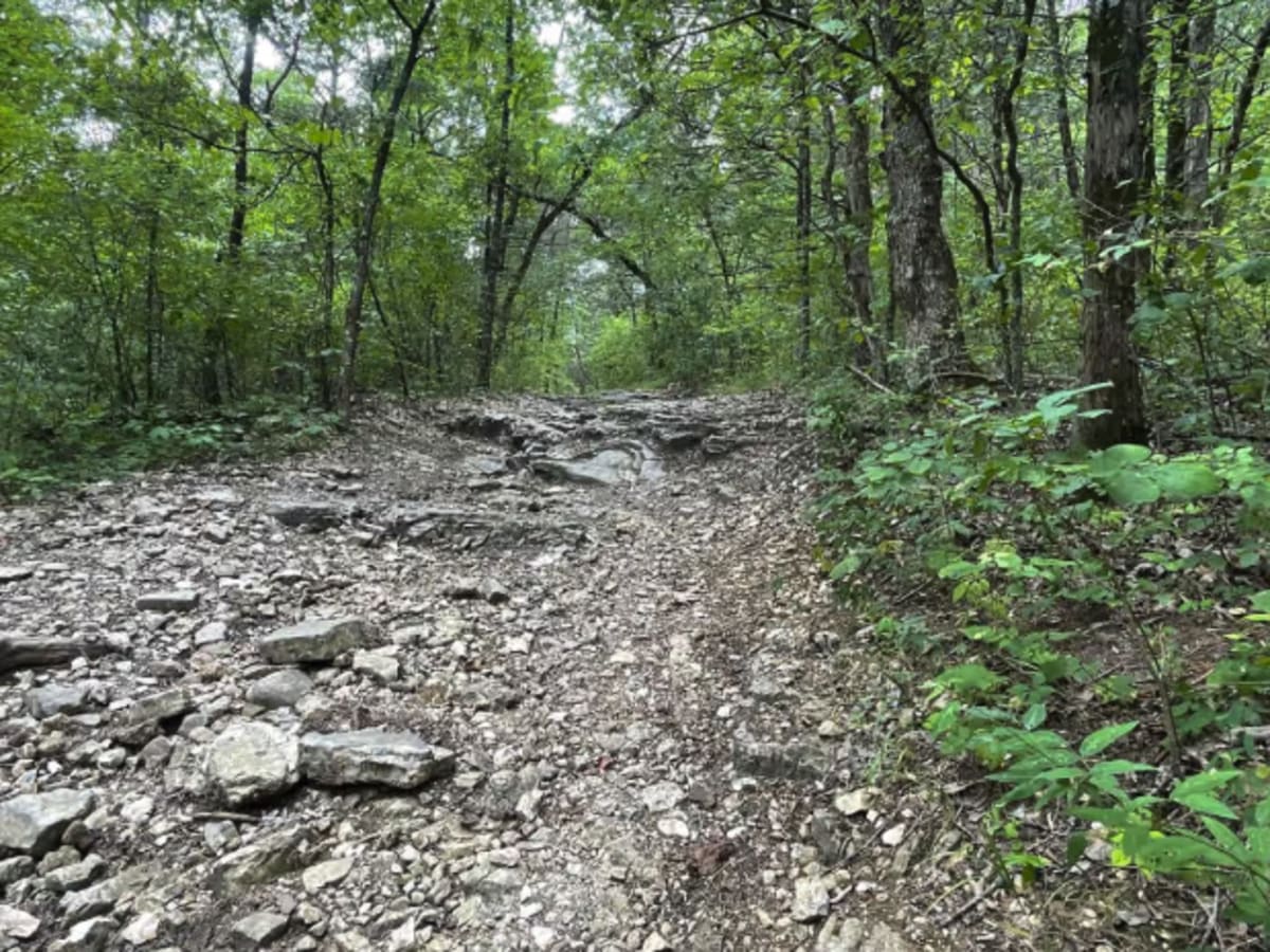 FR 1060 - Northern Portion photo 6