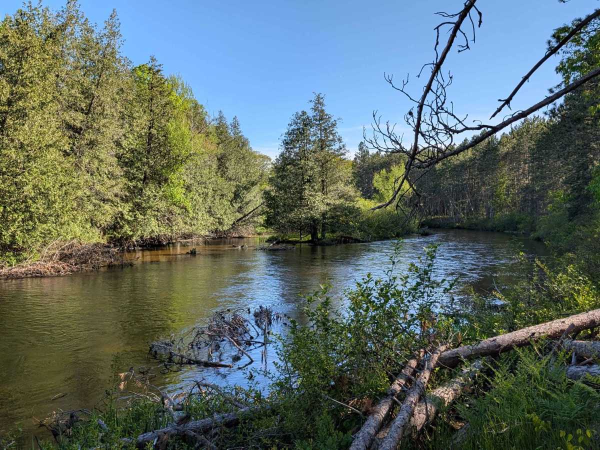 Riverview Cut photo 2