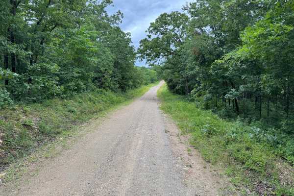West Springs Branch