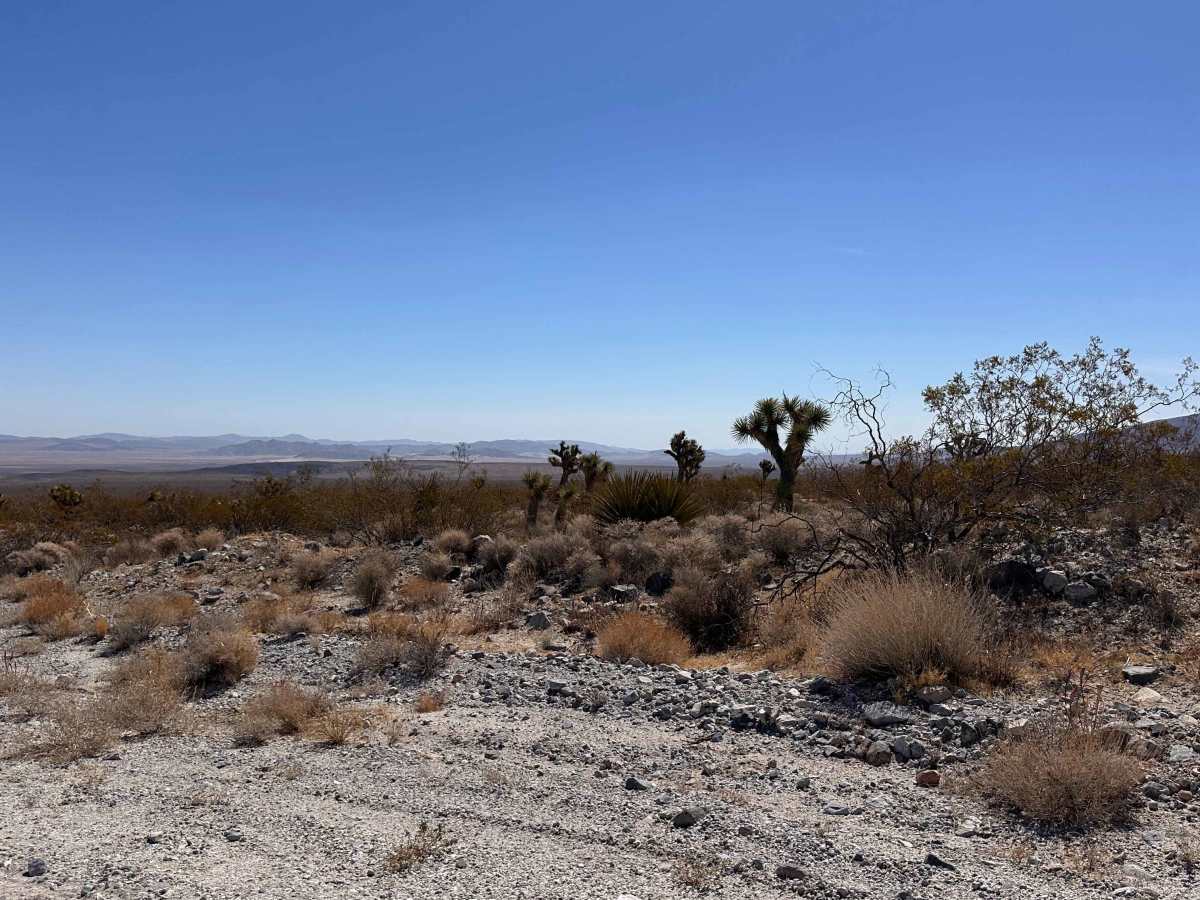 Coyote Gap photo 2