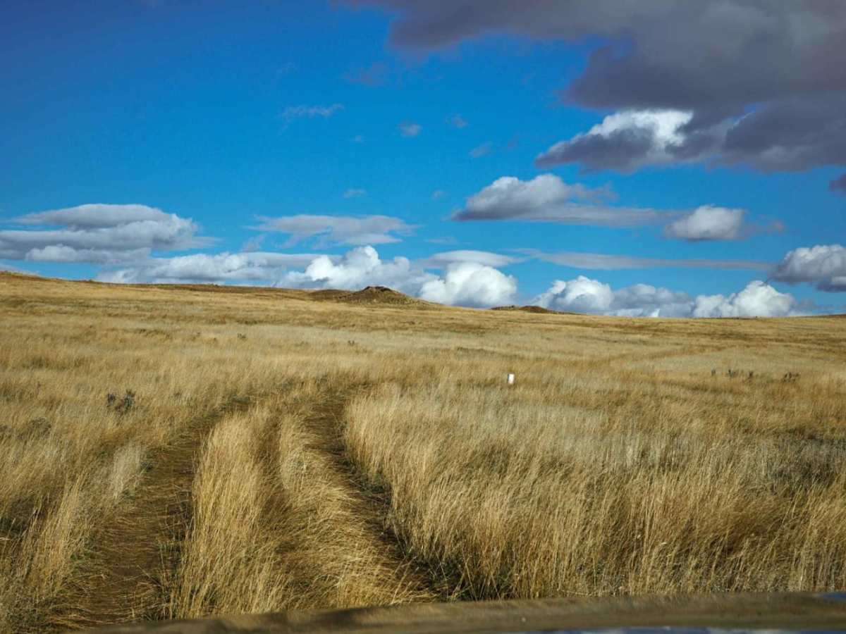 FSR 47782 trail photo
