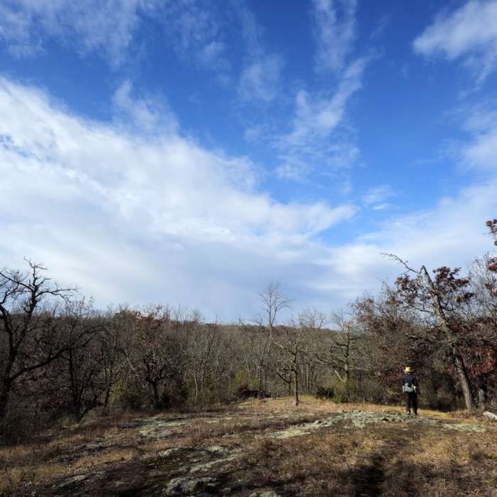 Near Eagle Peak Trail