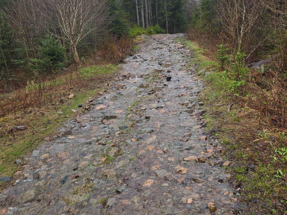 Little Snare Lake Trail photo 4
