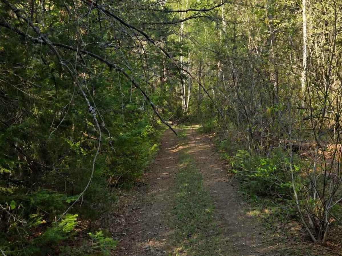 Harriet Lake Spur photo 2