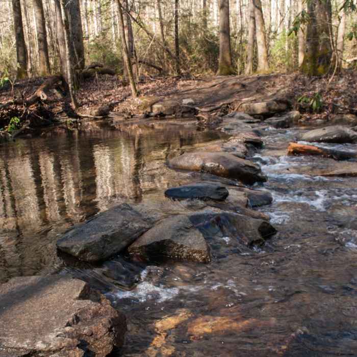 Near Catawba Falls Near Catawba Falls