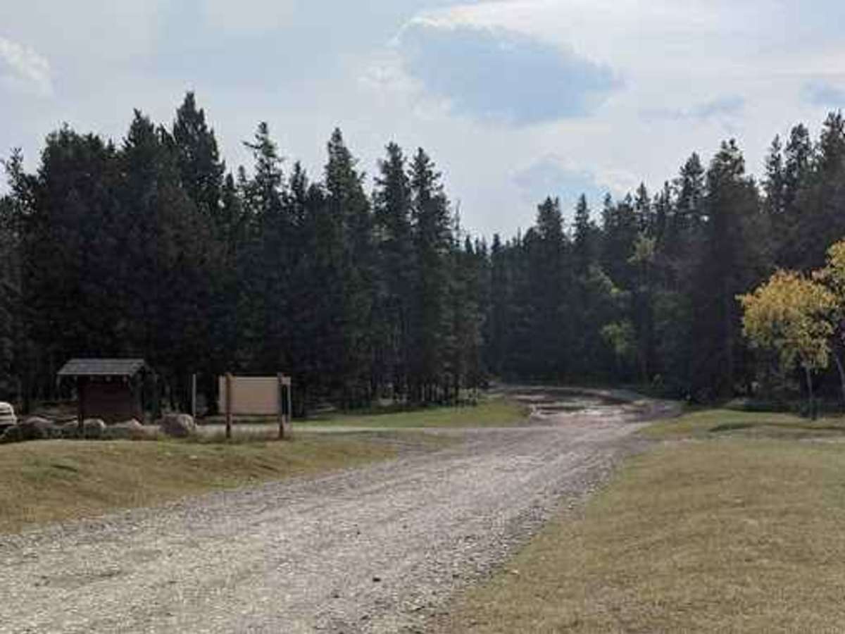 Allison Creek Road    trail photo
