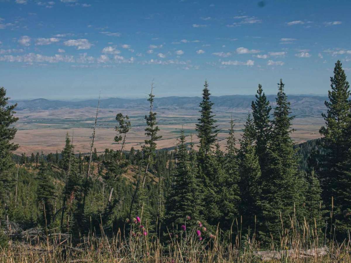 Gold Creek trail photo