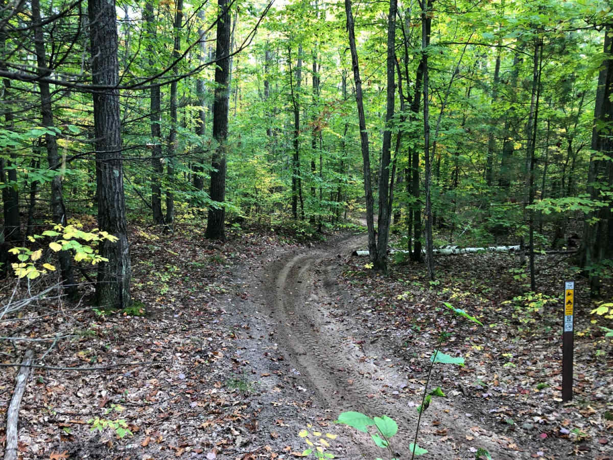 Crapo Creek Trail photo 5