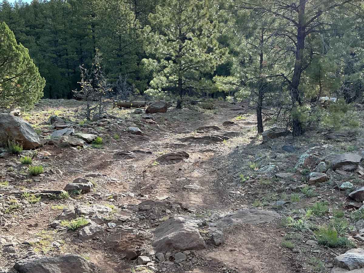 FS 9362K trail photo