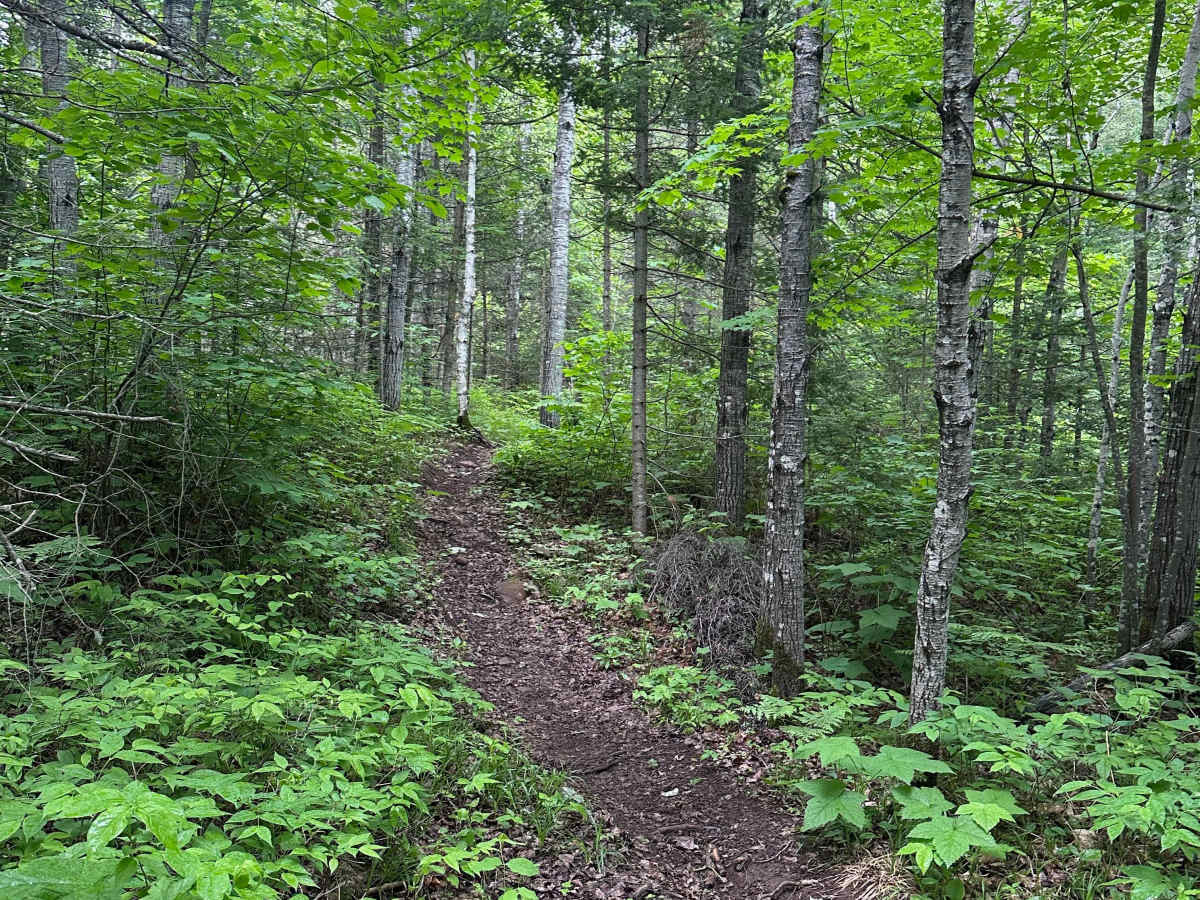 Alger Grade - Trail 5 photo 2