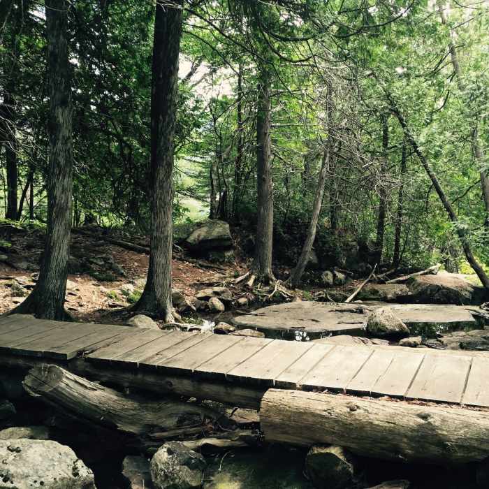 Near Valley Cove Trail