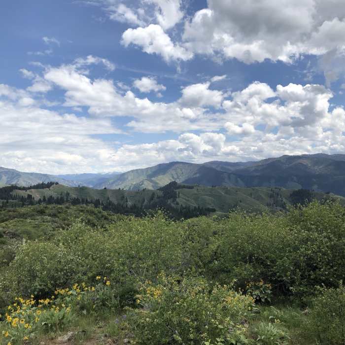 Near Station Creek to Bald Mountian