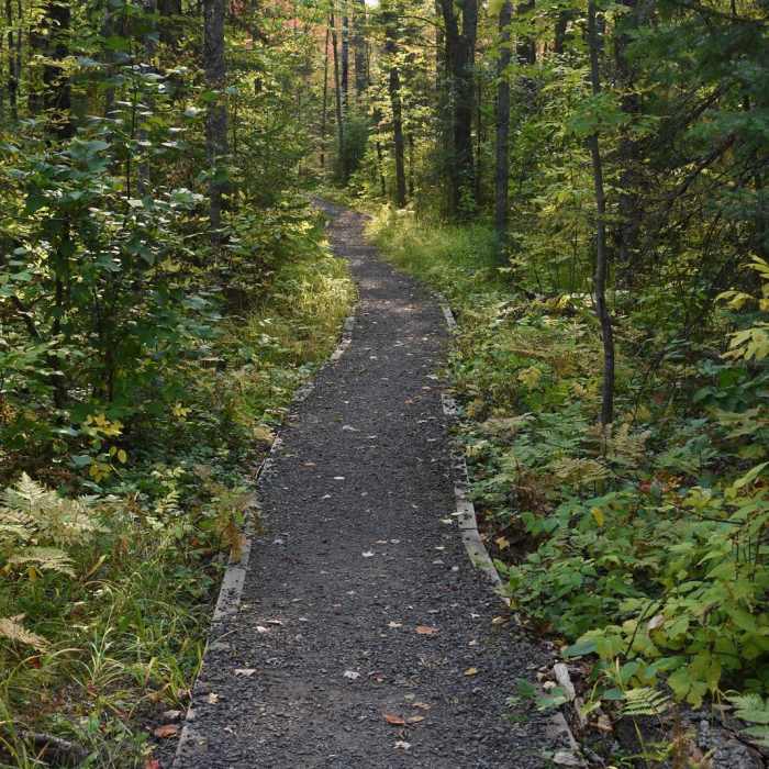 Near O Kun de Kun Falls via North Country Trail
