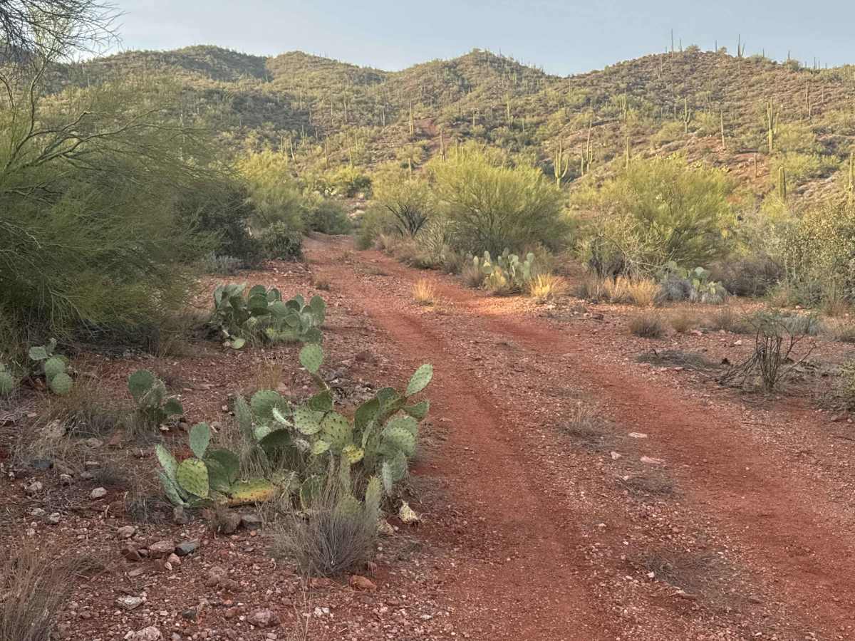 Trail 20003 photo 3