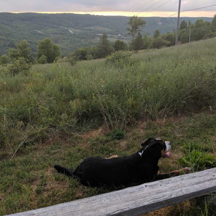 Viewpoint overlooking the Beaver Valley Near Beaver Valley Bruce Trail - Mid-Section Loop