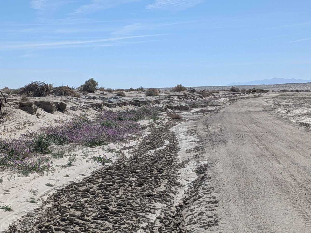 Carrizo Wash South photo 5