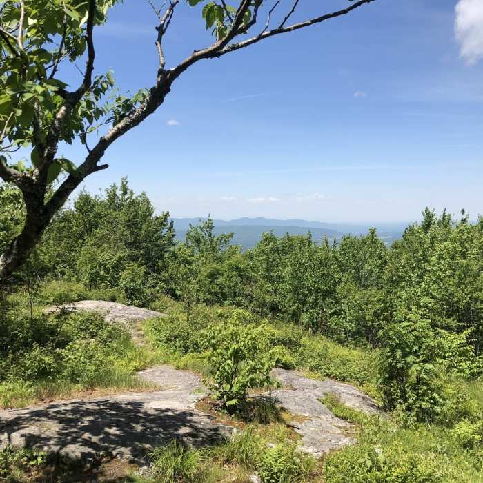 Near Bald Mountain Trail