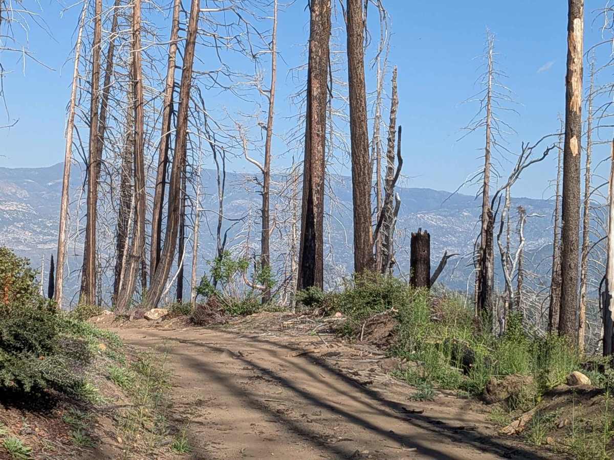 Mule Peak South - FS 22S03 photo 5
