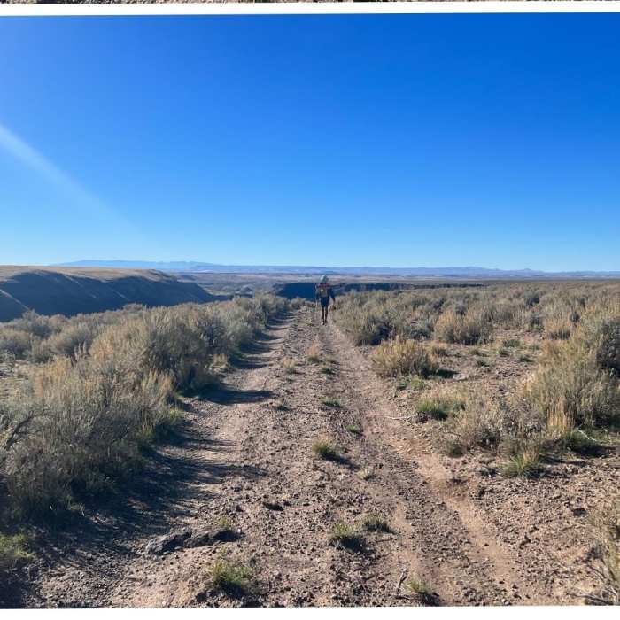 Near Owyhee River Road Loop Near Owyhee River Road Loop