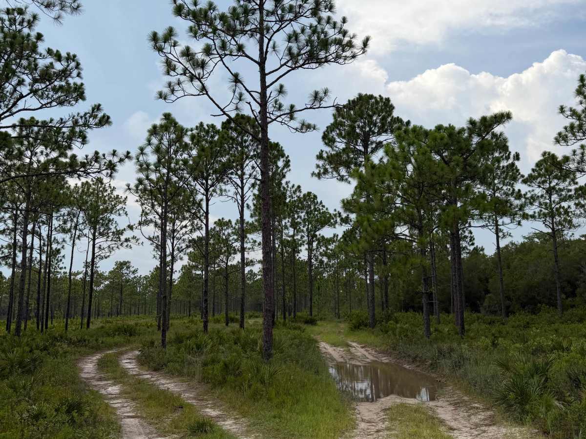 Muddy Crossings photo 4
