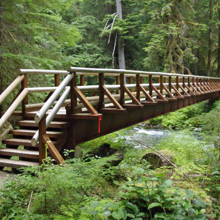 Near Upper Gray Wolf Trail